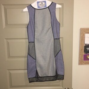 Gray and Purple Dress